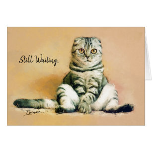 Assis de chats en attente Je manque votre carte