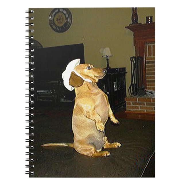 Assis Joli Carnet Dachshund (Devant)