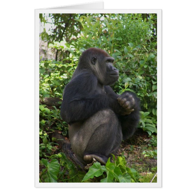 Assis, peut-être en pensant, mais probablement, ju (Devant)