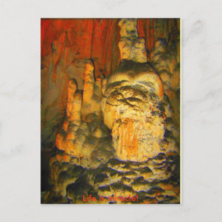 ASSISTANT DE LA CAVE - Carte postale