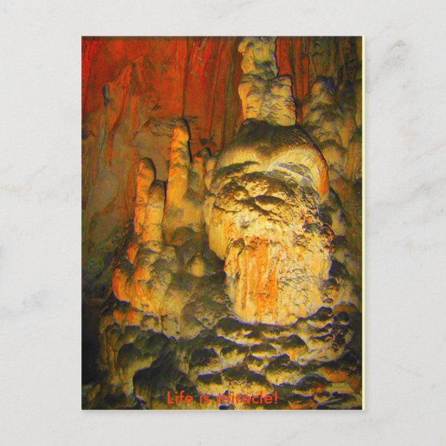 ASSISTANT DE LA CAVE - Carte postale (Devant)