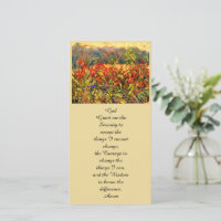 Aster et Sumac d'automne colorés et bleus rouges