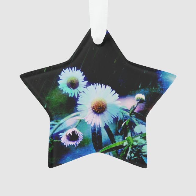 Asters Aglow Star Orament (devant)