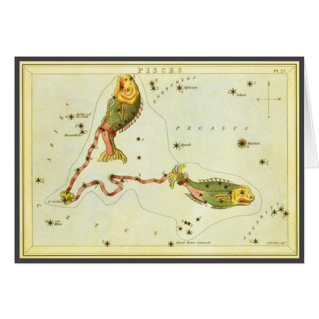 Astrologie Vintage Zodiaque Poissons Constellation (Devant horizontal)