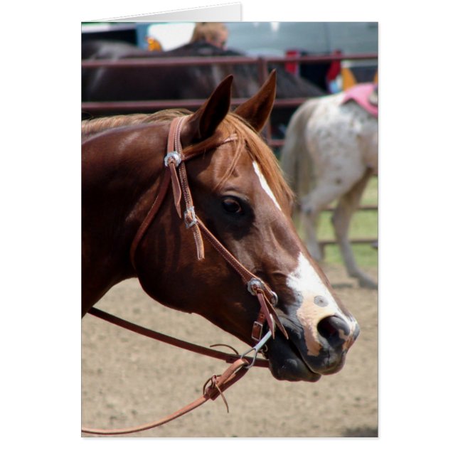 At the Horse Show (Devant)