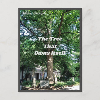 Athens Georgia USA Carte postale GA