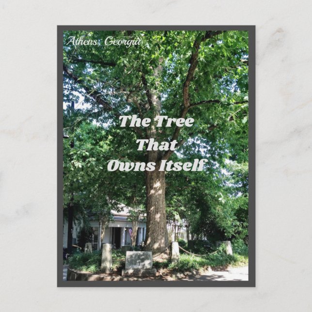Athens Georgia USA Carte postale GA (Devant)