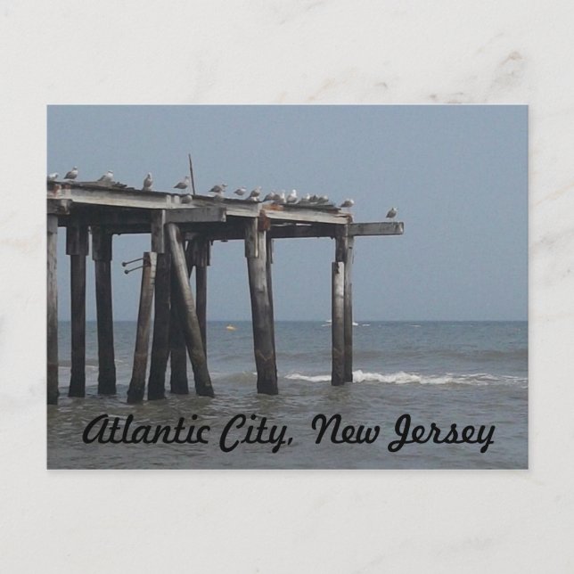 Atlantic City Beach avec carte postale d'oiseaux (Devant)