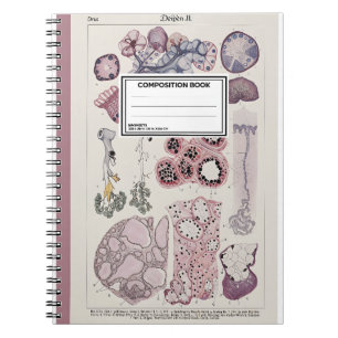 Atlas de l'histologie des tissus humains Cahier