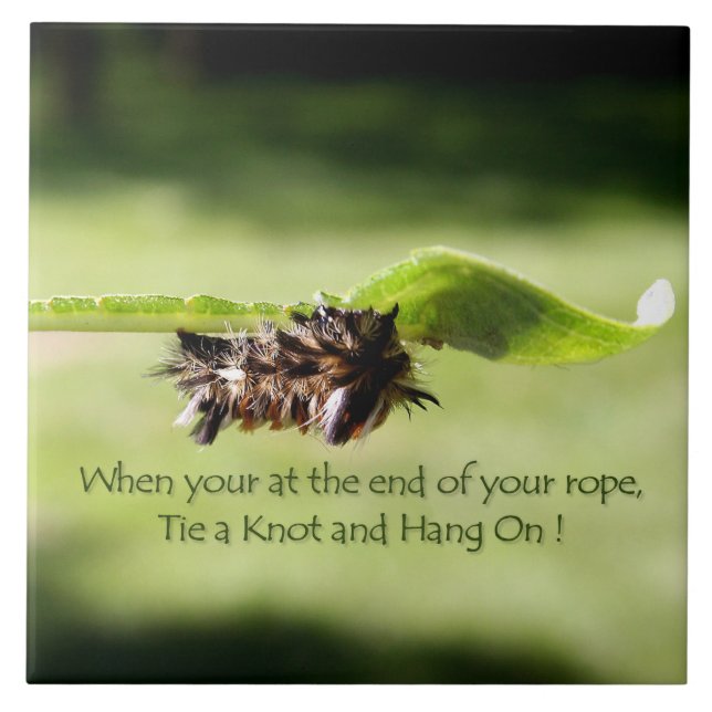 "Attachez un noeud et accrochez sur" le carreau de (Devant)