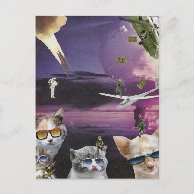 Attaque de la carte postale des chats Cool (Devant)