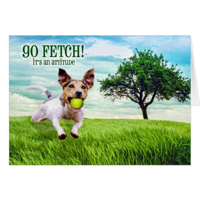 Atteindre Jack Russel Terrier Blank Toutes les occ (Devant Horizontal)
