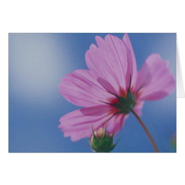 Atteindre le Soleil (Devant horizontal)