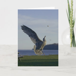 Atteindre Une Carte Objectif