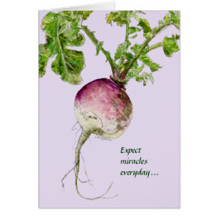 Attendez-vous à des Miracles tous les jours Turnip