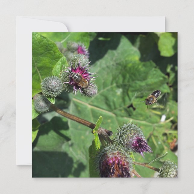 attends-moi (Devant)