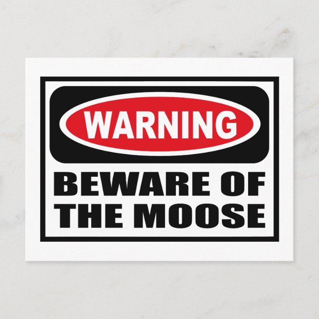 ATTENTION DE LA Carte Postale MOOSE (Devant)