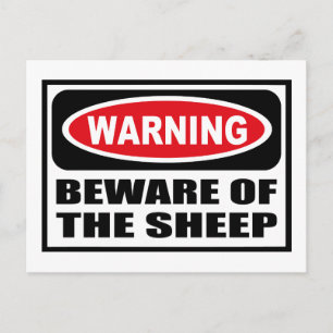 ATTENTION DE LA Carte postale SHEEP