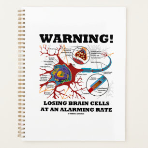 Attention ! Losing Brain Cells At An Alarming