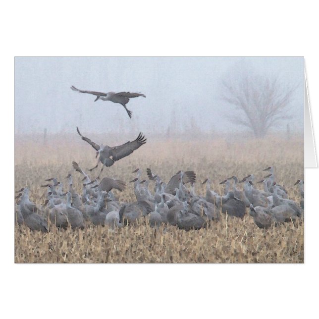 Atterrissage brumeux du Nébraska de matin (Devant horizontal)