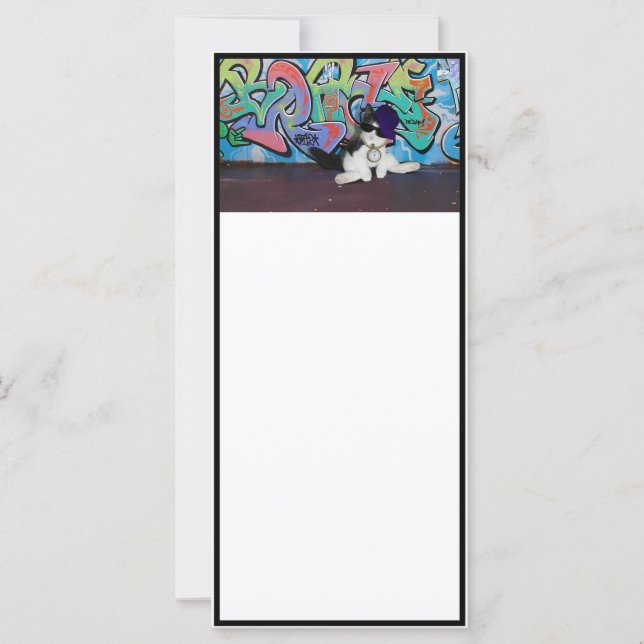 Attitude de chat.....Kitten et mur de graffitis (Devant)