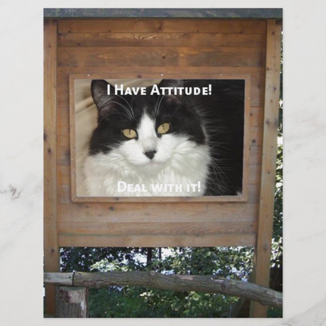 Attitude du chat (Devant)