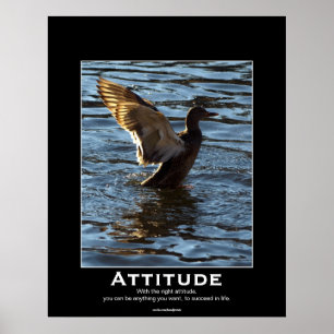 Attitude Mallard Canard Motivation Affiches