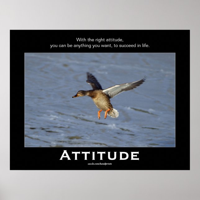 Attitude Mallard Canard Motivation Affiches (Devant)