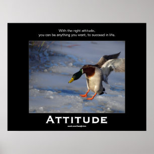 Attitude Mallard Canard Motivation Affiches