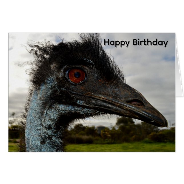 Attraction d'émeu australien, carte d'anniversaire (Devant horizontal)