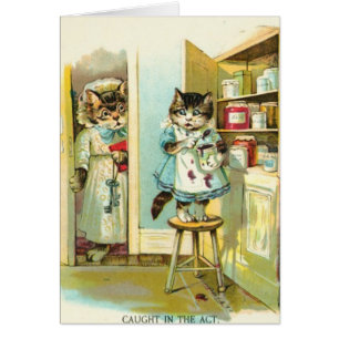 Attrapé dans la Loi