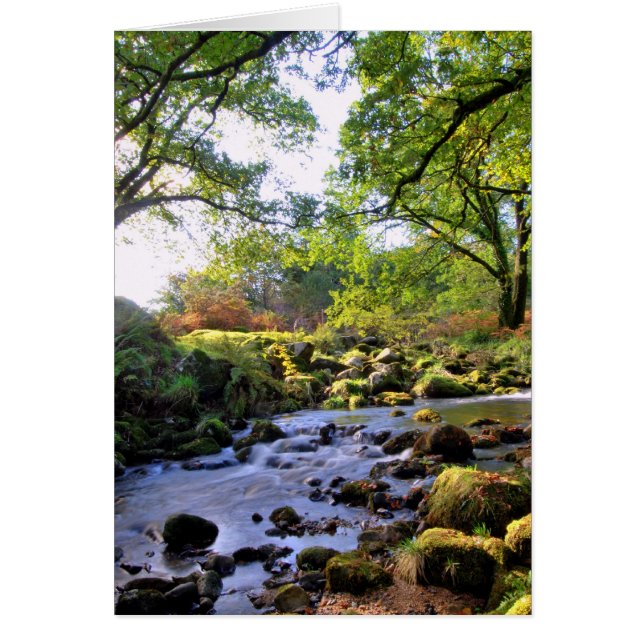 'Au Bord De La Rivière' (Devant)