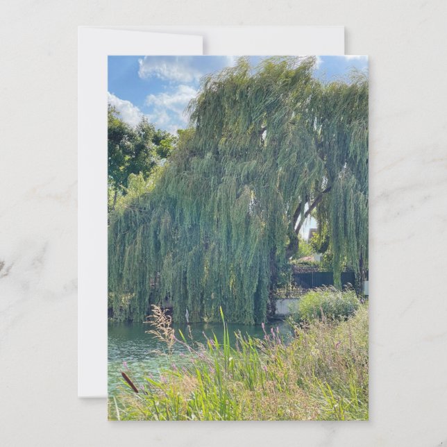 Au bord du lac (Devant)