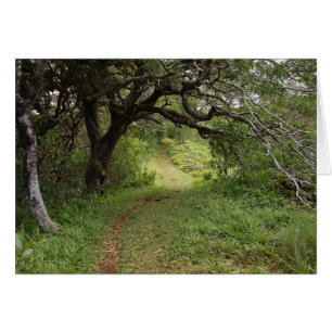 Au-dessus de la vallée de Manoa