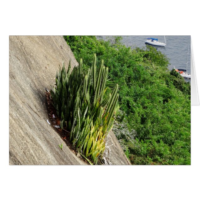 Au pain de sucre (Devant horizontal)