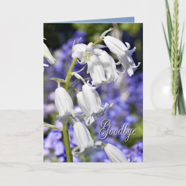 Au revoir, carte de sympathie (Devant)