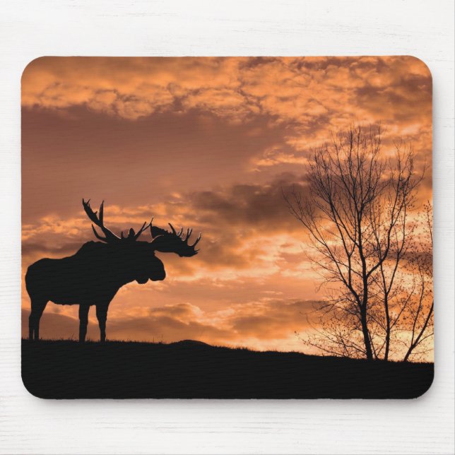 au tapis de souris de coucher du soleil (Devant)