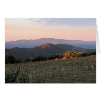 Aube d'Atlas Peak, Napa Valley, 1
