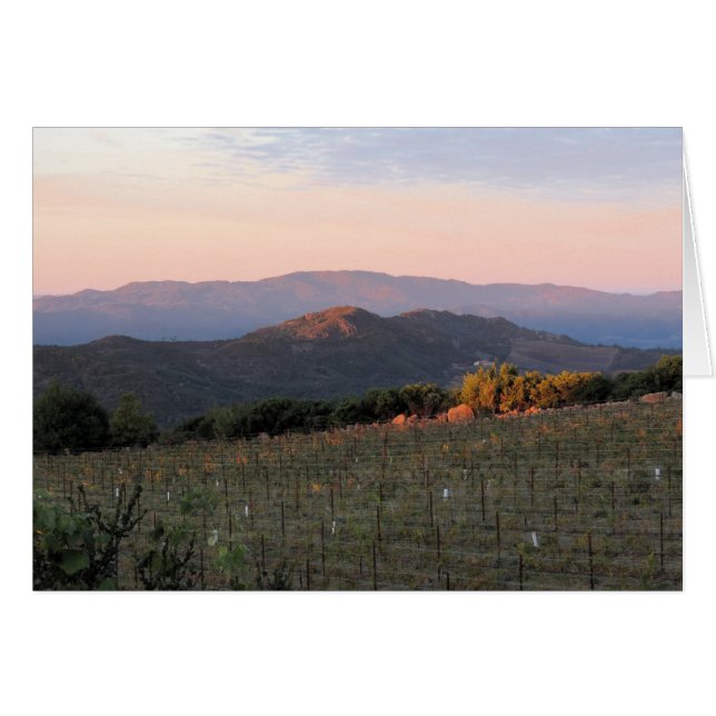 Aube d'Atlas Peak, Napa Valley, 1 (Devant Horizontal)