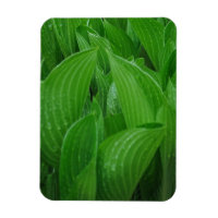 Auberges avec Raindrops Flexible Magnet