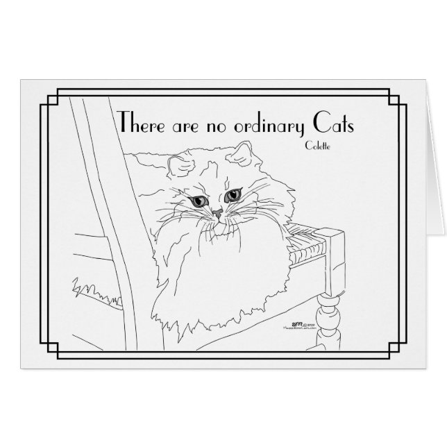 Aucun chat ordinaire (Devant horizontal)