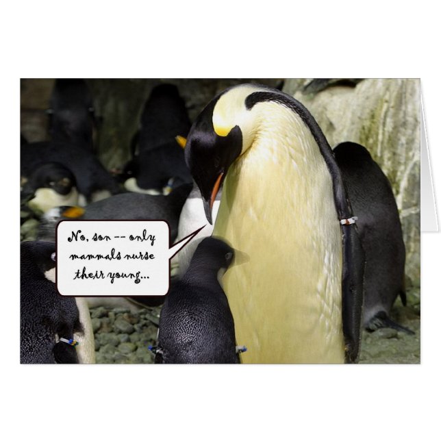 Aucun pingouin libre de déjeuner (Devant horizontal)