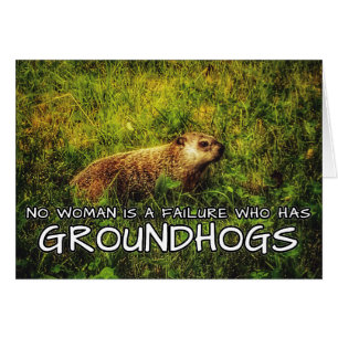 Aucune femme n'a de carte Groundhogs