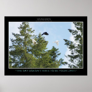 "AUCUNE LIMITE" Photo Imprimer ou poster