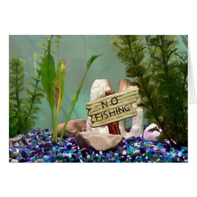 Aucune pêche ! (Devant horizontal)