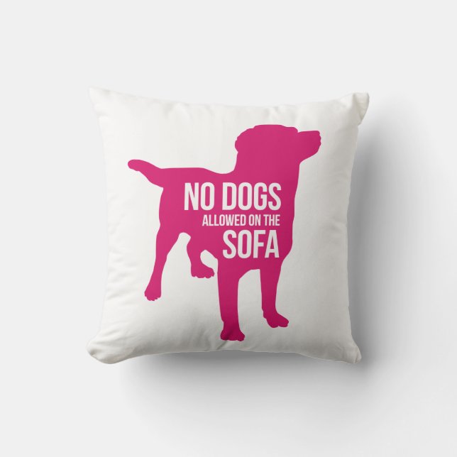 Aucuns chiens sur le coussin de sofa (Recto)
