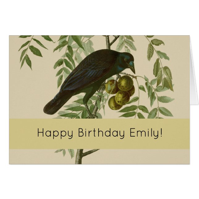 Audubon American Crow Black Bird (Devant horizontal)