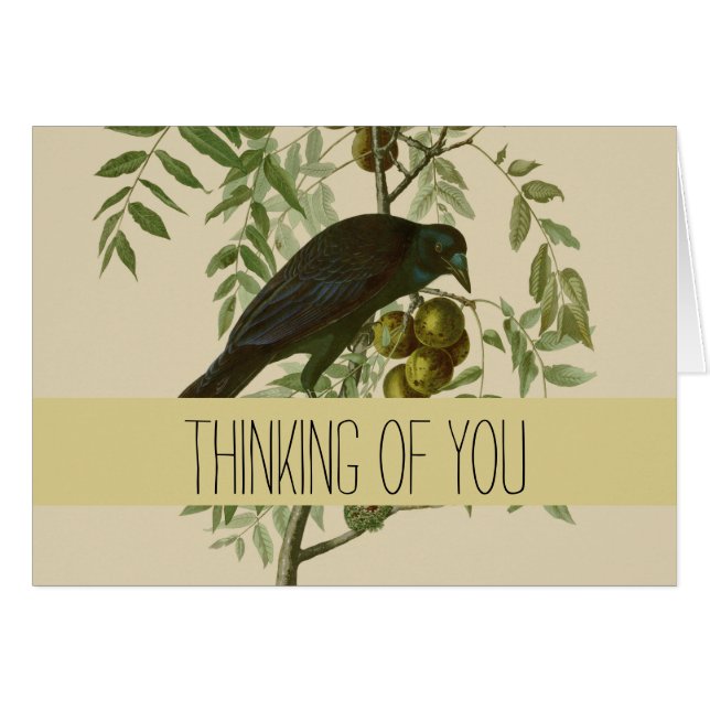 Audubon American Crow Black Bird (Devant horizontal)