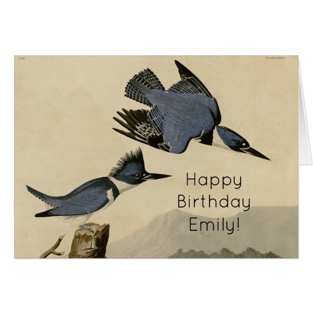 Audubon Belted Kingfisher Wildlife Bird (Devant horizontal)