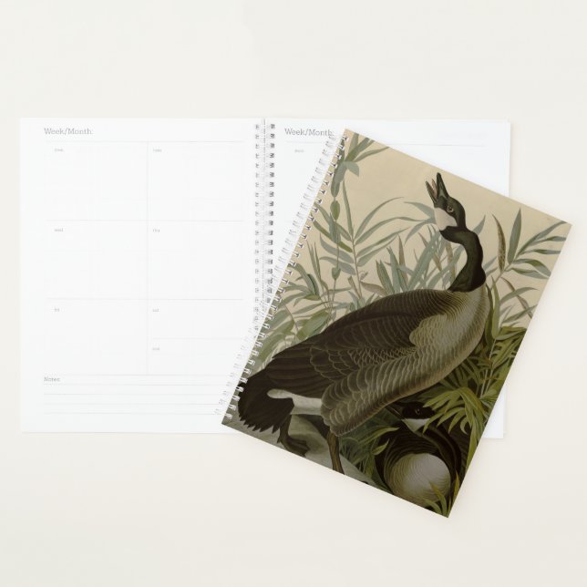 Audubon Canada Oies Oiseaux sauvages (Devant avec enveloppe)